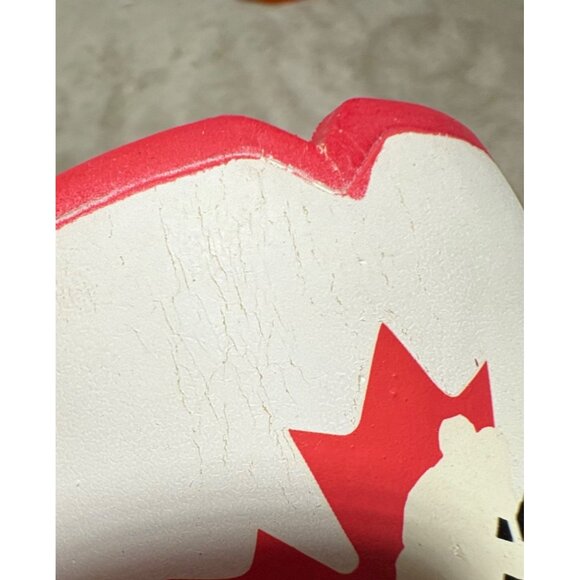 Team Canada Beer Coozie Cooler Hockey Jersey Themed Maple Leaf Gloves SportFX - Picture 8 of 9
